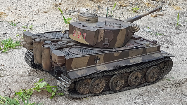 Tiger